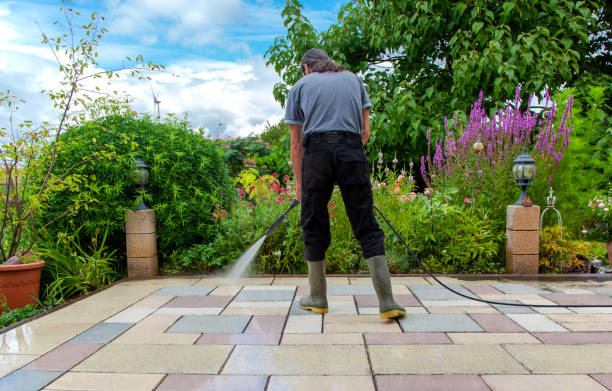Best Driveway Cleaning and Restoration in Grimes, IA